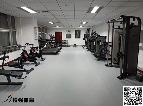 济南某集团采购的必威西汉姆联提供的健身器材